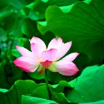 20120707_01