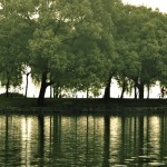 20120707_05