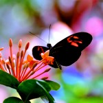 20120814_01