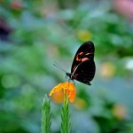 20120814_02