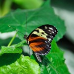 20120814_03