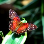 20120814_07